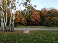 Rent other space 100 - 500 m2 We offer rent of paved storage area measuring 100-500 m2 in…