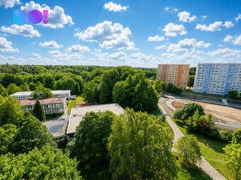 BO!reality offers for rent a luxuriously renovated apartment