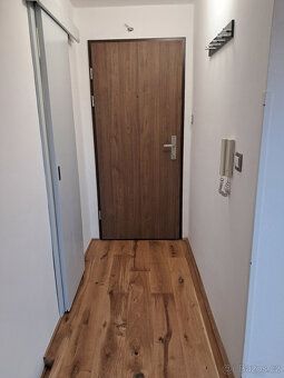 I offer an apartment for rent in Třebon near Penny Market.