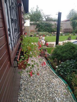 Sell garden with cottage in Otická gardening colony, Opava