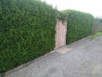 Sell garden with cottage in Otická gardening colony, Opava