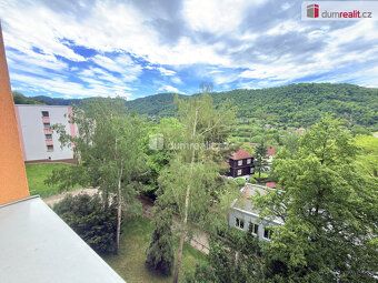 Nájem 6000 Kč + služby. Elektřina na nájemníka. Provize RK. 