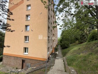 Nájem 6000 Kč + služby. Elektřina na nájemníka. Provize RK. 