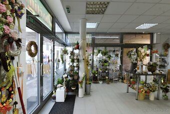We offer rental of commercial space No. 18, No.