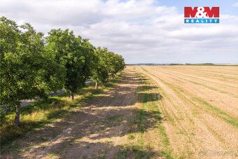 We offer for sale a flat plot of land with an area of 1964 m² in a quiet location in the…