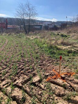 Prodám 2/3 podíl (300m2) LV31 Petrovice u Rakovníka Prodám 2