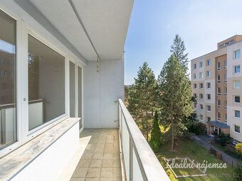 K dlouhodobému podnájmu Vám nabízíme velmi světlý byt o disp