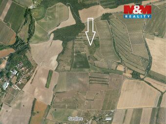 Get your own piece of wine paradise with this extensive vineyard.