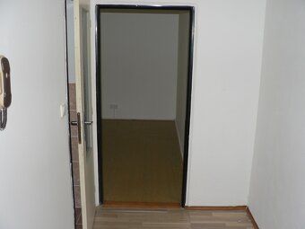 Dlouhodobý pronájem bytu o původní velikosti 1+1, průchozí p