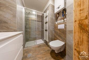 Nabízíme pronájem bytu o dispozici 2+kk s výměrou 50 m² ve V