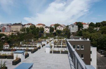 Nabízíme k pronájmu pěkný byt 1+kk, o ploše 30m2 + vlastní t