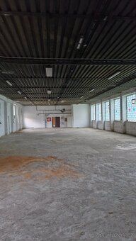 Nabízíme k pronájmu halu o velikosti 505 m² v průmyslovém ar