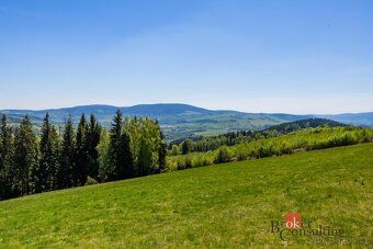 Prodej, pozemky/bydlení, 1045 m2, Horní Morava 11, 56169 Dol