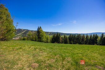 Prodej, pozemky/bydlení, 1045 m2, Horní Morava 11, 56169 Dol