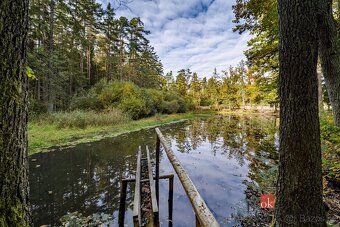 For sale, land/ponds, 64790 sq m, Žitéč, Chlum u Třeboně, South Bohemian Region