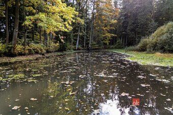 For sale, land/ponds, 64790 sq m, Žitéč, Chlum u Třeboně, South Bohemian Region
