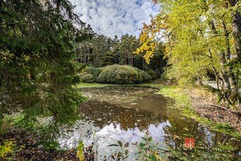 For sale, land/ponds, 64790 sq m, Žitéč, Chlum u Třeboně, South Bohemian Region