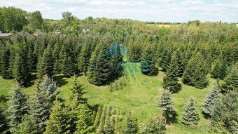 We offer for sale an attractive building plot of 1,240 sqm in a quiet part of the village of…