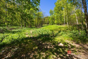 Prodej, pozemky/bydlení, 1045 m2, Horní Morava 11, 56169 Dol