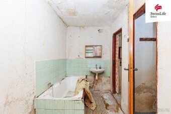 In the center of the village of Dyje, just minutes away from Znojmo, there is an opening for…