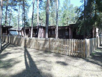 We offer accommodation in a pine grove. Campsite Stary Splavy – 