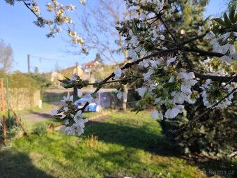 I am offering for sale a garden in personal ownership within a gardening colony in the village…