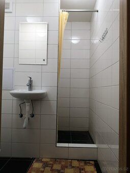 Pronájem bytu 1+1 (32 m2) po kompletní rekonstrukci, k užívá