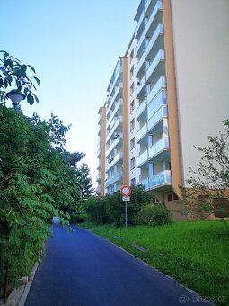 Pronájem bytu 1+1 (33 m2) s balkonem, nachází se ve 4. patře