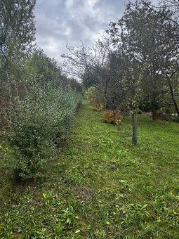 🌳 Prodej zahrady / sadu 1 872 m² – Soběchleby, okres Přerov 