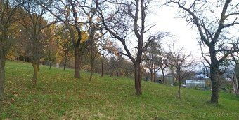 Nabízíme k prodeji rozsáhlou zahradu o ploše 3 492 m², situo