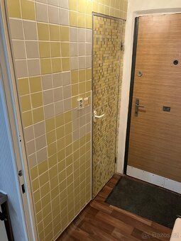 Nabízím k pronájmu částečně zařízený byt 1+kk o výměře 27 m²