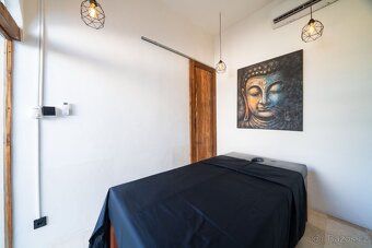 Unikátní Francouzská vila se 3 ložnicemi, šarmem a magií. Dv