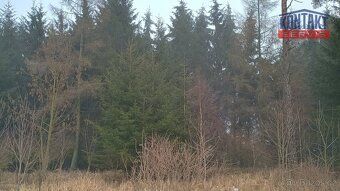 Ev.č. VŠ-8059 Představujeme Vám výjimečnou nabídku lesních p