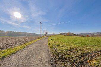 Nabízíme stavební pozemky ve Vlčetíně - autem 20 min. od cen