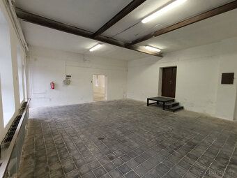 Pronajmu sklad/dílnu 160 m2 v Lučanech v průmyslovém areálu 