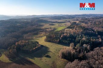 Nabízíme k prodeji více pozemků lesa o celkové rozloze 25 83