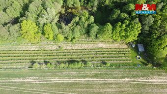 Prodej borůvkového sadu o výměře 6 819 m² v Petrovicích u Ka