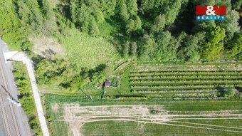 Prodej borůvkového sadu o výměře 6 819 m² v Petrovicích u Ka