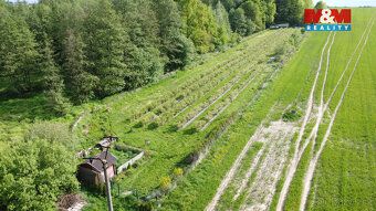 Prodej borůvkového sadu o výměře 6 819 m² v Petrovicích u Ka