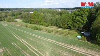 Prodej borůvkového sadu o výměře 6 819 m² v Petrovicích u Ka