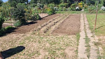 Nabízíme za odstupné zahradu o výměře 150 m2 v zahrádkářské 