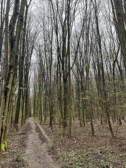 Prodáme pozemky v k.ú. Rosice nad Labem. Jedná se o p.č. 352