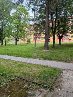 Prodám družstevní byt 2+1 ve Studénce okr. Nový Jičín. Jedná
