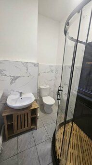 Pronájem kompletně vybaveného apartmánu o dispozici 1+kk. Ap
