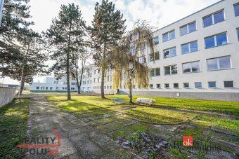 Pronájem bytu 2+kkNabízíme k pronájmu světlý a prostorný byt
