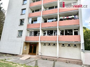 Nájem 6836Kč + 1164 Kč služby voda, teplo TUV. Kauce 14000Kč