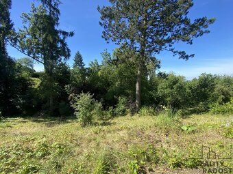 Looking for a quiet place near Olomouc for your recreation and relaxation?