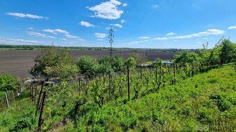 Looking for a place to rest among vineyards with beautiful views