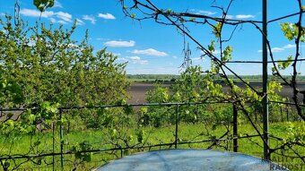 Looking for a place to rest among vineyards with beautiful views