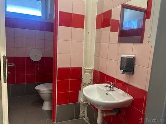 We offer for rent an object of size 261 m².